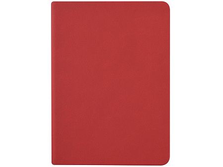 Ежедневник недатированный А6 «Megapolis Color»