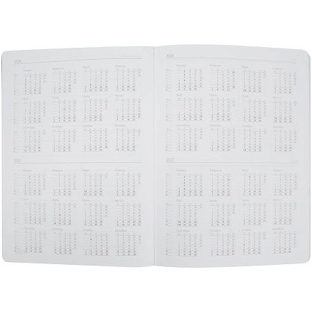 Еженедельник Lucky, недатированный, серый