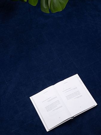 Плед для пикника Soft & Dry 2, синий