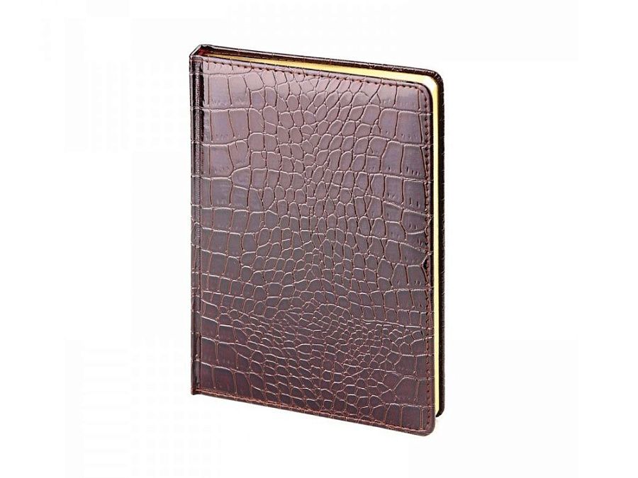 Ежедневник недатированный А5 «Caiman»