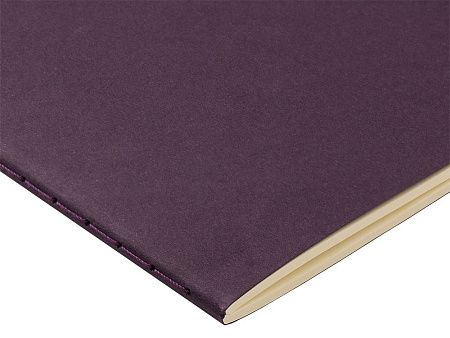 Бизнес тетрадь А5 «Pragmatic»