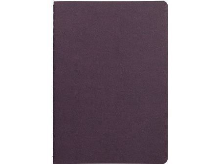 Бизнес тетрадь А5 «Pragmatic»