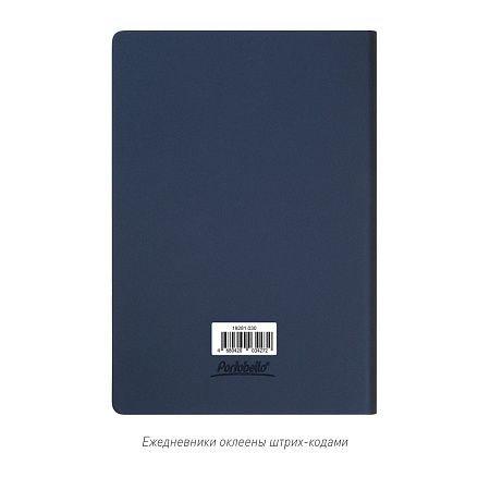 Ежедневник Star недатированный, синий (с упаковкой, со стикерами)