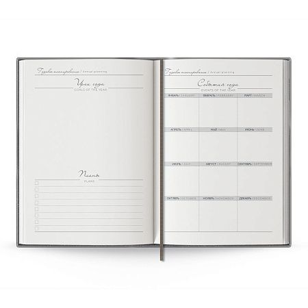 Ежедневник Anaconda, недатированный, серебристый