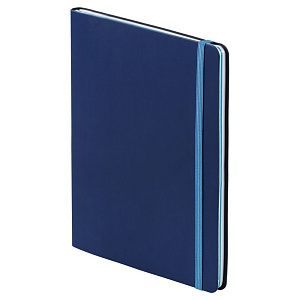 Блокнот (линейка+клетка) BiColor 15,5х21 с резинкой 2659.89