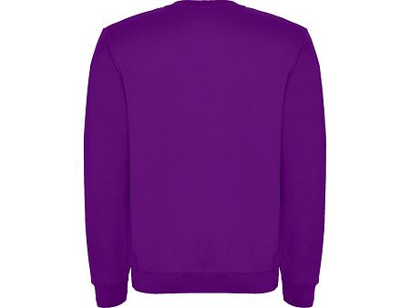 Свитшот с начесом «Clasica» унисекс