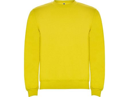 Свитшот с начесом «Clasica» унисекс