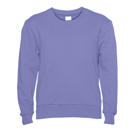 Свитшот детский STAN футер без начёса, 260, 63J, Сливовый,  (95)  (10/10 лет)