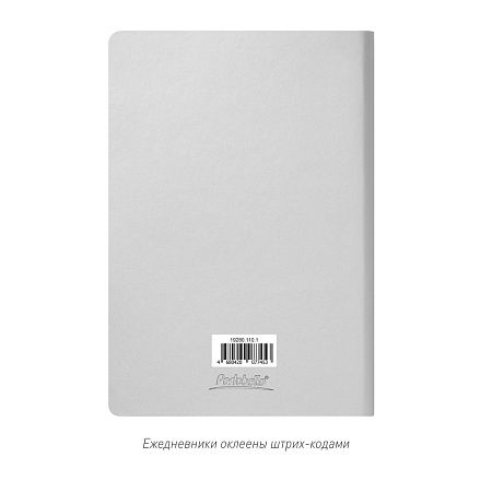 Ежедневник Spark недатированный, серебряный (без упаковки, без стикера)