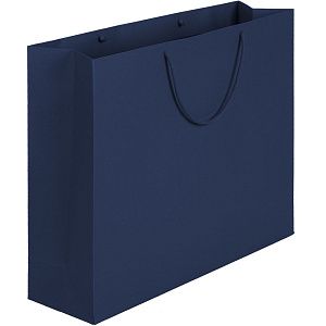Пакет бумажный Ample Plus L, синий