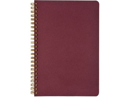 Бизнес тетрадь А5 «Pragmatic»