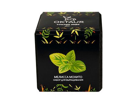 Набор для выращивания «Small village cube «Мелиса Мохито»