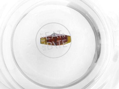 Кружка с двойными стенками с елочкой внутри «Winter Wonderland»