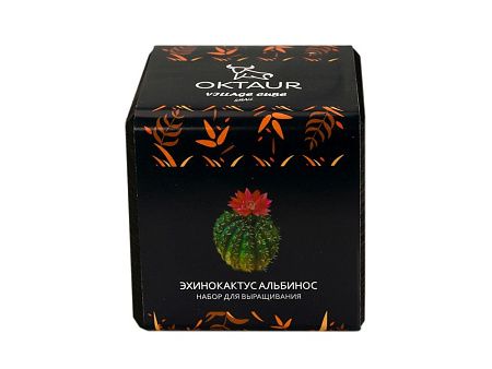 Набор для выращивания «Small village cube «Эхинокактус Альбинос»