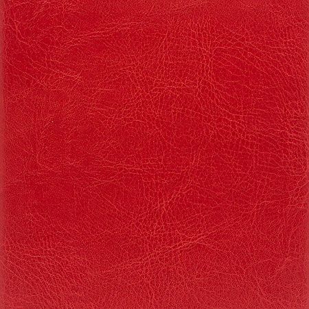 Ежедневник City Buffalo А5, красный, недатированный, в твердой обложке с поролоном