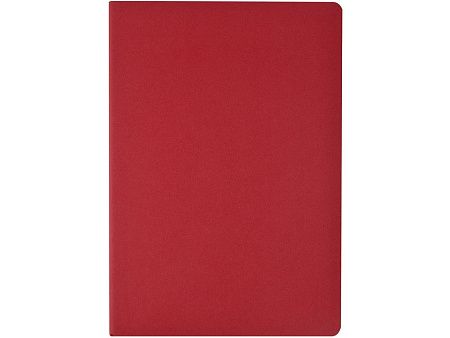 Бизнес-тетрадь А4 «Pragmatic»