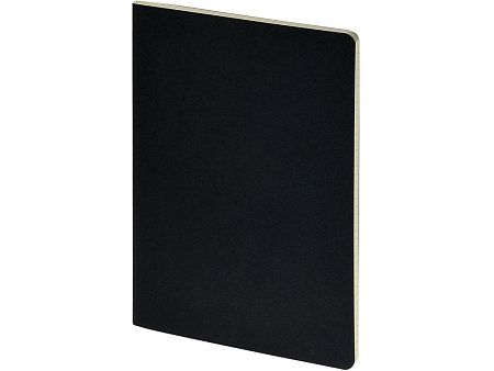 Бизнес-тетрадь А4 «Pragmatic»