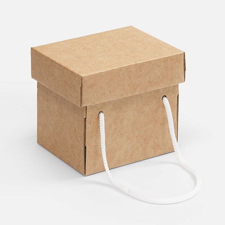 Набор Forestour