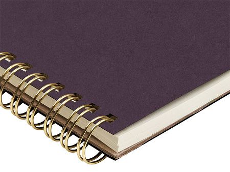 Бизнес тетрадь А5 «Pragmatic»