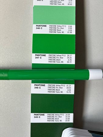 Ручка шариковая Alana Color, пластиковая, зеленая