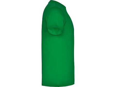 Футболка «Beagle» детская