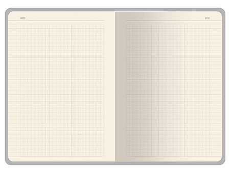 Бизнес-тетрадь А5 «Pragmatic Contrast»