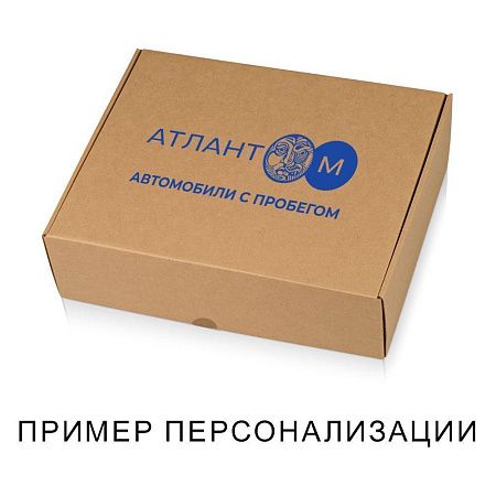 Набор подарочный Solution Duo (плед, термокружка), серый