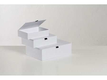 Коробка подарочная White M