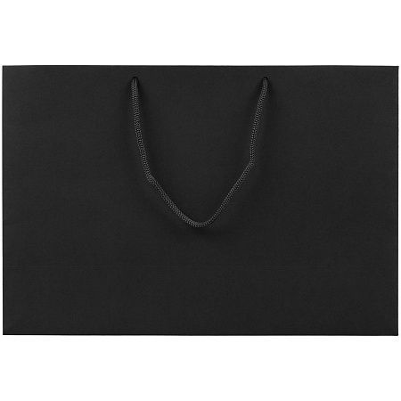 Пакет бумажный Ample Plus M, черный