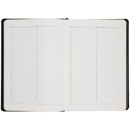 Ежедневник Alanis, недатированный, черный с зеленым