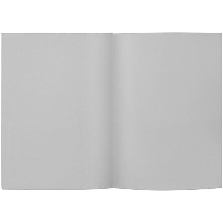 Ежедневник Flat Maxi, недатированный, серый