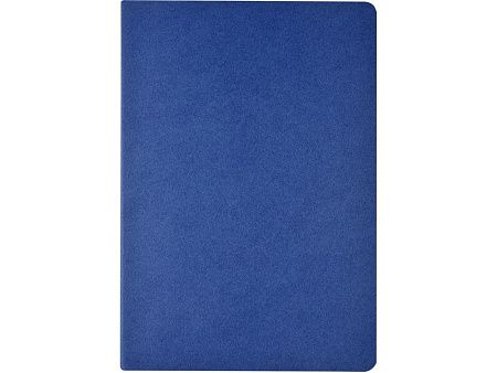 Бизнес-тетрадь А4 «Pragmatic»