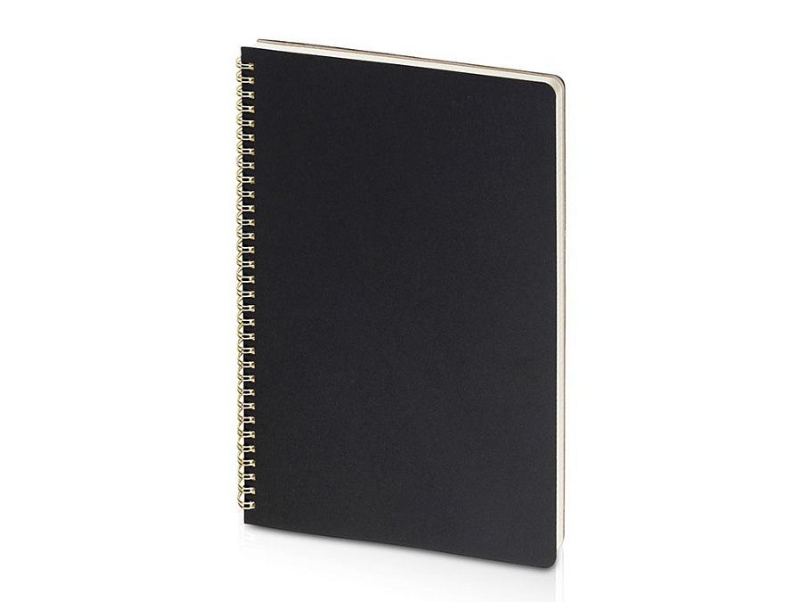 Бизнес-тетрадь А4 «Pragmatic»