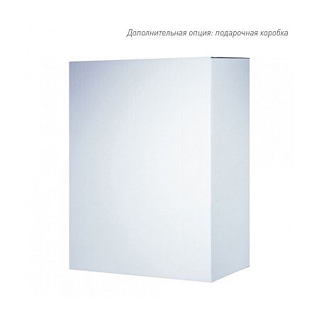 Бизнес рюкзак Taller  с USB разъемом, черный