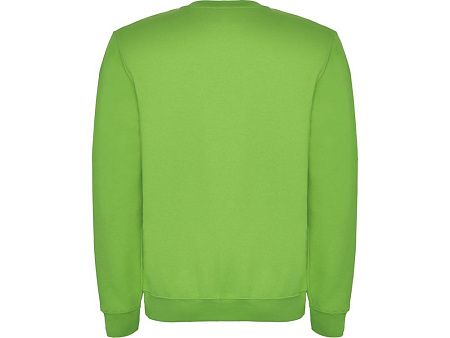 Свитшот с начесом «Clasica» унисекс