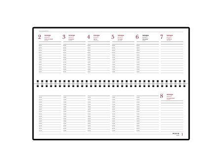 Планинг датированный «Ideal New» на 2025 год