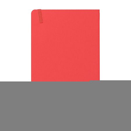 Бизнес-блокнот "RILY", формат А5,  красный, блок в точку