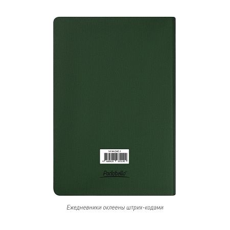 Ежедневник Rain недатированный, зеленый (без упаковки, без стикера)