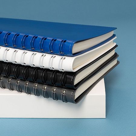 Ежедневник Vista Neo недатированный, синий