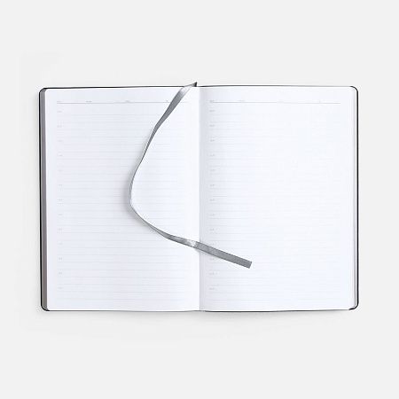 Ежедневник Nebraska Flex, недатированный, ver. 2, серебристый