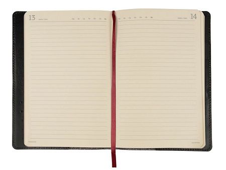 Ежедневник полудатированный портфолио А5 «Profy»