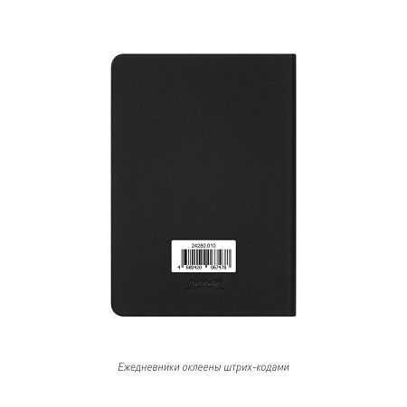 Ежедневник Spark mini A6 недатированный, черный