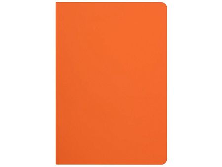 Бизнес-тетрадь А5 «Pragmatic Contrast»