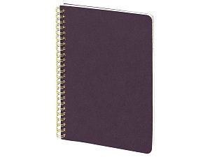 Бизнес тетрадь А5 «Pragmatic»