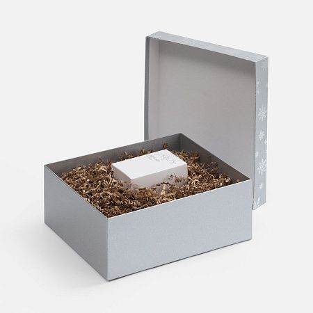 Коробка Wintry, серебристая