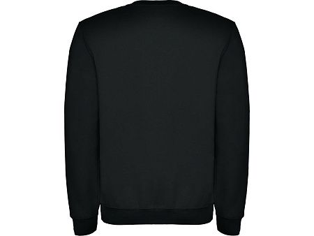 Свитшот с начесом «Clasica» унисекс