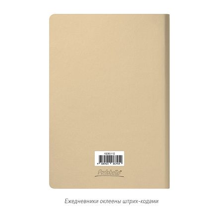 Ежедневник Spark недатированный, белое золото (с упаковкой, со стикерами)