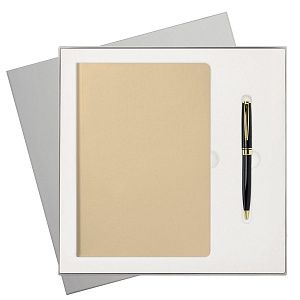 Подарочный набор Спарк (Spark), белое золото (ежедневник, ручка)