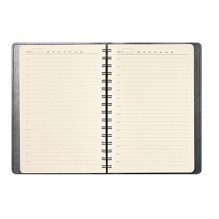 Ежедневник Vista Neo недатированный, серый