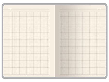 Бизнес-тетрадь А5 «Pragmatic Contrast»